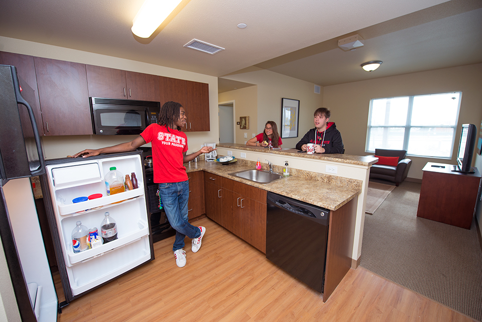 Kitchen and living room view.