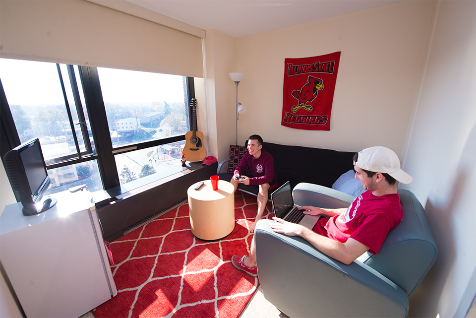 Common area of Super Single Suite overlooking Normal (south).
