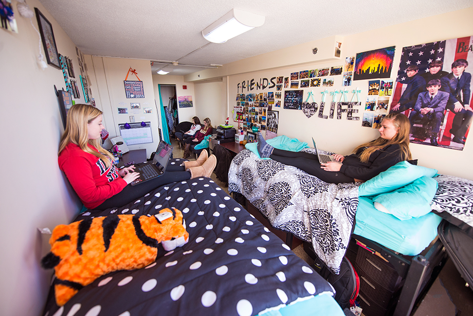 Double room with both beds junior lofted facing entry.